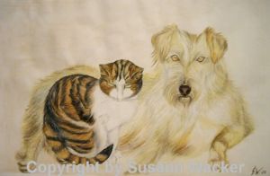 Hund & Katze Aquarell, 42 x 59 cm