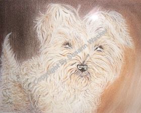 Terrier Mischling, Pastell auf Papier, 40 x 60 cm